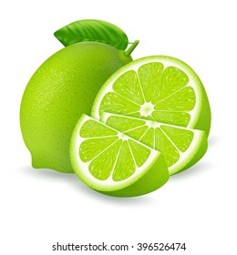 Fresh limes and slices with leaf isolated on white background. Realistic vector illustration.