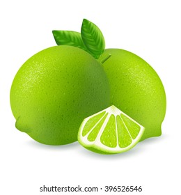 Fresh limes and slices with leaf isolated on white background. Realistic vector illustration.