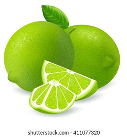 Fresh limes and slices with leaf isolated on white background. Realistic vector illustration.