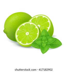 Fresh limes and slices with mint isolated on white background. Realistic vector illustration.