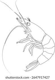 Camarão fresco e suculento — uma mistura perfeita de sabor oceânico e elegância culinária.