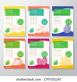 Fresh Local Fruit Labels Packaging Design Layout Collection. Vector Background Covers Set. Modern Typography and Hand Drawn Bananas, Peaches, Blackberry, Tangerine, Raspberry and Pineapple. Isolated.