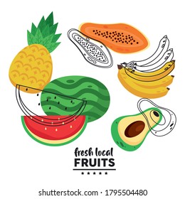 fresh local fruits lettering with watermelon and fruits vector illustration design