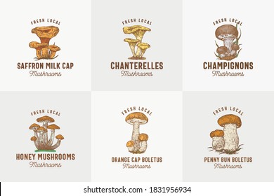 Fresh Local Mushrooms Abstract Signs, Symbols or Logo Templates Collection. Hand Drawn Colorful Champignons, Chanterelles, Saffron Milk Cap, etc. with Typography. Edible Plant Vector Concept. Isolated