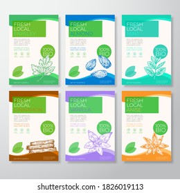 Fresh Local Nuts and Spices Labels Packaging Design Layout Collection. Vector Background Covers Set. Modern Typography and Hand Drawn Almond, Cinnamon, Vanilla, Anise, Mint and Parsley. Isolated.