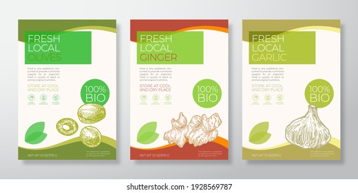 Fresh Local Vegetables Label Templates Set. Vector Packaging Design Layouts Collection. Typography Banner with Hand Drawn Olives, Ginger Root and Garlic Sketch Silhouette Background Isolated.