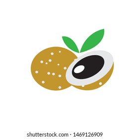 fresh longan fruit logo vector