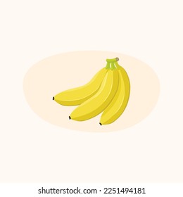 Fresh looking banana bunch illustration. Vector