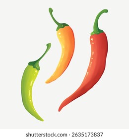 Fresh looking chili illustration. Vector realist of lombok, spice from Asian. Green chili, orange chili and red chili hot spicy food hand drawn clip art.