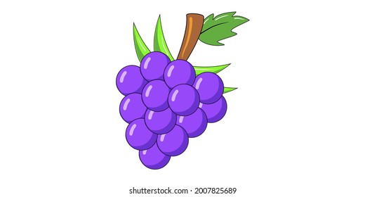 Vectores de uvas de aspecto fresco