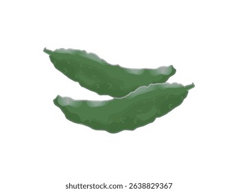 Ilustração vegetal de melão-de-coloração-amarga