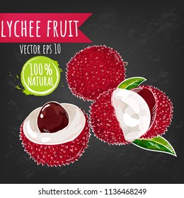 Fresh Lychee fruit bright sketch style vector. Juicy tropical fruits. Black chalkboard background. Eps 10