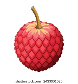 Ilustración fresca de la fruta del lichi sobre fondo blanco