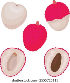Fresh lychee set, half, sliced, cut, half sliced, peeled, vector illustration isolated on white background, Litchi chinensis icon for package design, tropical fruits in flat style.