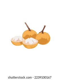fresh lyre fruit object vector illustration