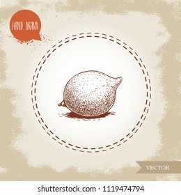 Fresh macadamia nut. Hand drawn sketch style vector illustration on old background. Food and cosmetic oil ingredient drawing. Freshly ripped fruit.