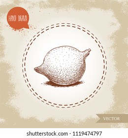 Fresh macadamia nut. Hand drawn sketch style vector illustration on old background. Food and cosmetic oil ingredient drawing. Freshly ripped fruit.