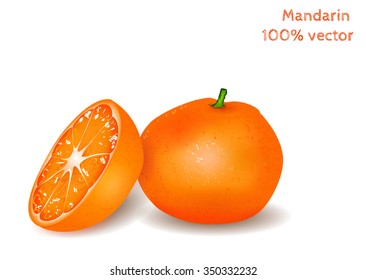 Fresh mandarin. Vector illustration.