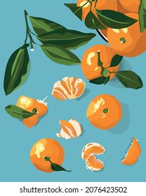 Mandarinas o mandarinas frescas con hojas verdes. Cítricos.  Cítricos naranjas y hojas verdes, frutas peladas y rodajas. Ilustración vectorial. Fondo de la comida. Frutas para redes sociales, postales.