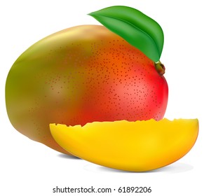 fresh mango fruit with cut and green leafs vector