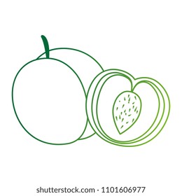 fresh mango fruit icon