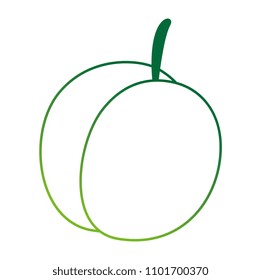 fresh mango fruit icon