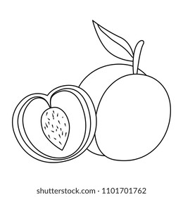fresh mango fruit icon