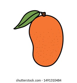 fresh mango fruit nature icon