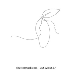 fresh mango fruit on white background. Summer fruit for healthy lifestyle. Organic fruit. Cartoon style. Vector illustration