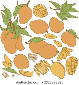 Frische Mango-Früchte mit Mango-Slice und Blätter Vektorgrafik. Reife saftig geschnittene und geschnittene Mango-Früchte. Frische, helle exotische Glocke und geschnittene Mango einzeln auf weißem Hintergrund. Gesunde Sommerfrüchte 