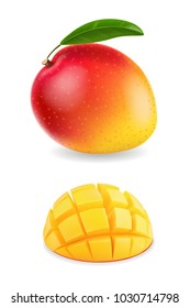 Fresh mango fruit with slices realistic isolated illustration