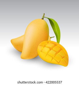 Fresh mango and a half of mango, fruit, transparent, Vector