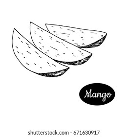 Fresh mango . Hand drawn sketch style tropical summer fruit vector illustration. Isolated drawing on white background. Vitamin and healthy fruit eco food. Farm market produce.