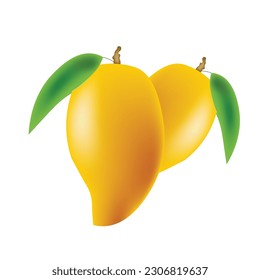 Fresh mango  and leaves vector illustration