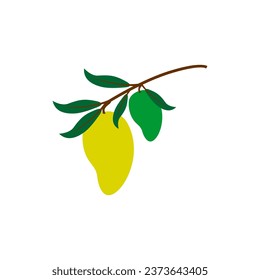 Fresh mango with mango and leaves vector illustration