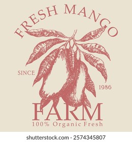 Fresh mango. Nature fruit club print design. Organic mango food artwork for for t-shirt. Fruit vintage t-shirt design.  food fashion trendy Tee.  girls graphic tee print design, t-shirt design