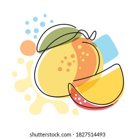 fresh mango on color abstract background. Line style sign for print and web design, packaging, label. Outline vegetable fruit food theme.
