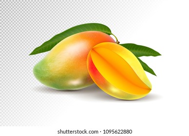 Fresh Mango with slice Isolated On White Background. Vector 3d illustration