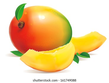 Fresh Mango with slice Isolated On White Background. Vector illustration