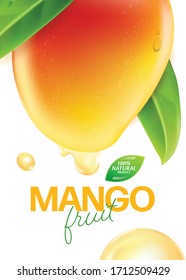 Frische Mango mit Scheiben und Blättern Vektorillustration Illustration 