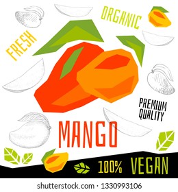 Fresh mango tropical fruits organic vegan food vector hand drawn illustrations