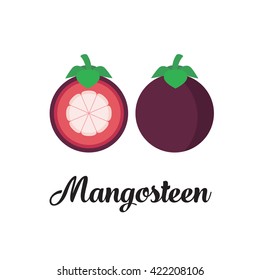 Fresh mangosteen, cut sliced, seeds, leaf and steam, vector editable illustration. Flat simple style, tropical fruit.