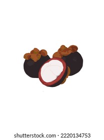 fresh mangosteen fruit object vector