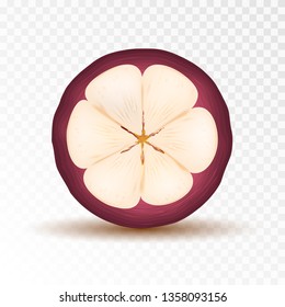 Fresh Mangosteen Fruit Queen on a transparent background. Realistic juicy tropical fruits. Vector illustration.