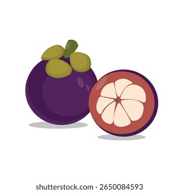 Fruta de mangostão fresca com fatia, Ilustração de vetor isolada no fundo branco