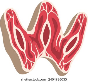 Vector de letras alfabéticas de carne fresca