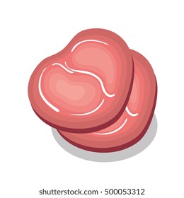 fresh meat isolated icon