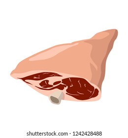 Fresh Meat Isolated Vector 