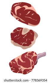 Fresh meat vector design