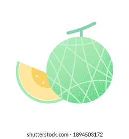 Fresh melon. Fruit vector illustration